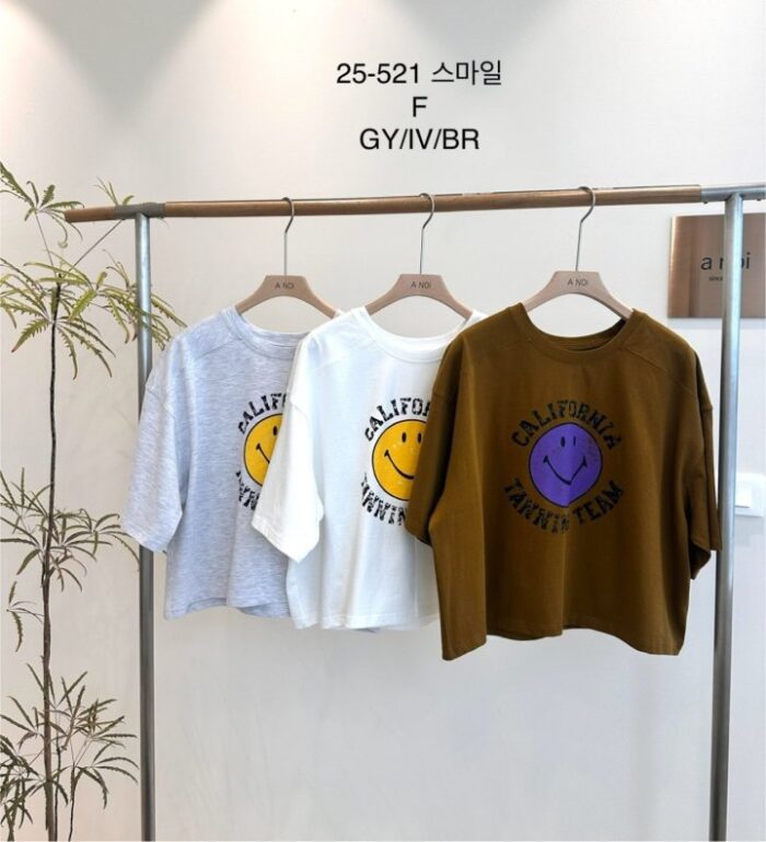 노이 521 스마일