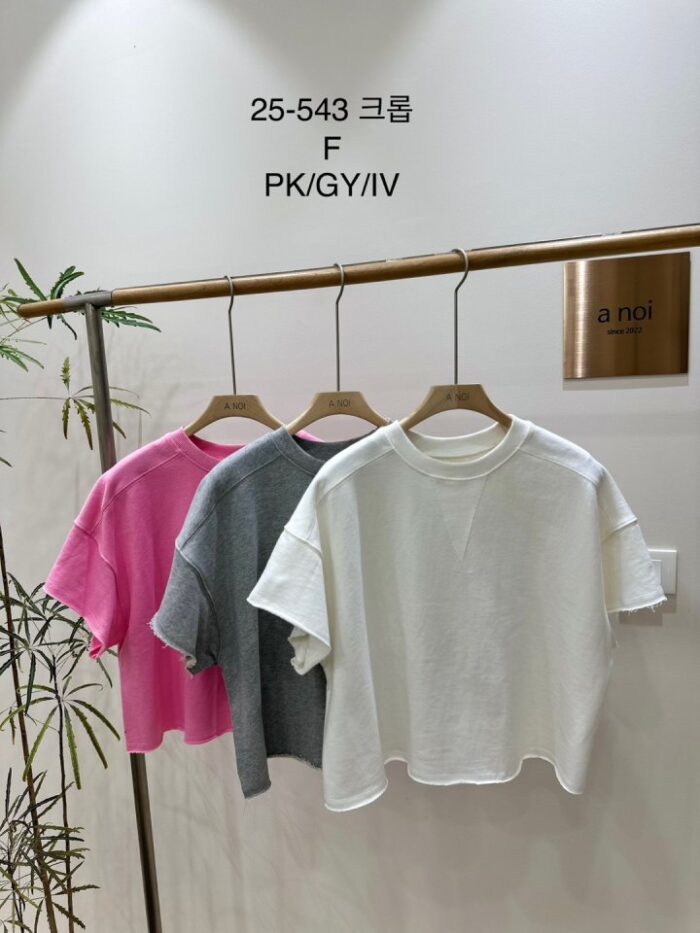 노이 543 크롭